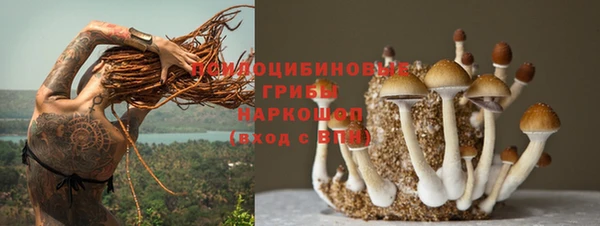 бутират Михайловка