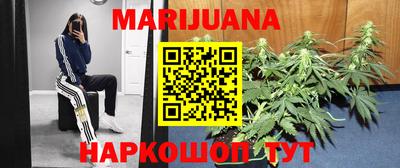прущие грибы Кунгур