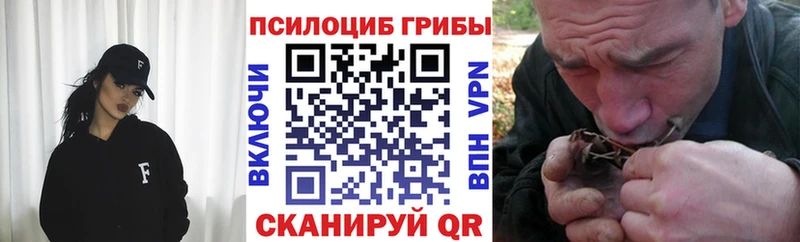 Псилоцибиновые грибы Psilocybine cubensis  нарко площадка клад  Липецк 