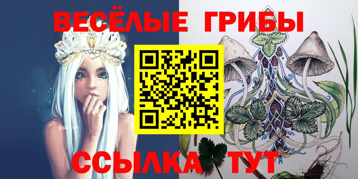 Галлюциногенные грибы Cubensis  Вход с VPN  Галлюциногенные грибы Psilocybine cubensis  Липецк 